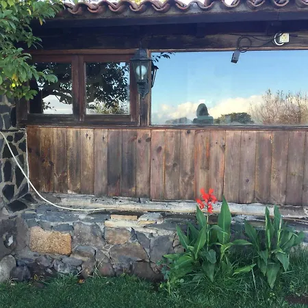 Wonderful In Pure Nature, Adeje. Ferienhaus Costa Adeje (Tenerife)